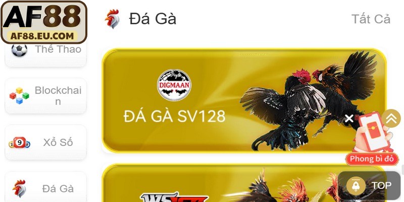 Giới thiệu AF88 cung cấp dịch vụ cá cược đá gà trực tuyến